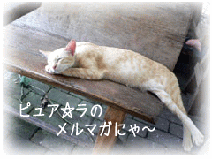 メールマガジン