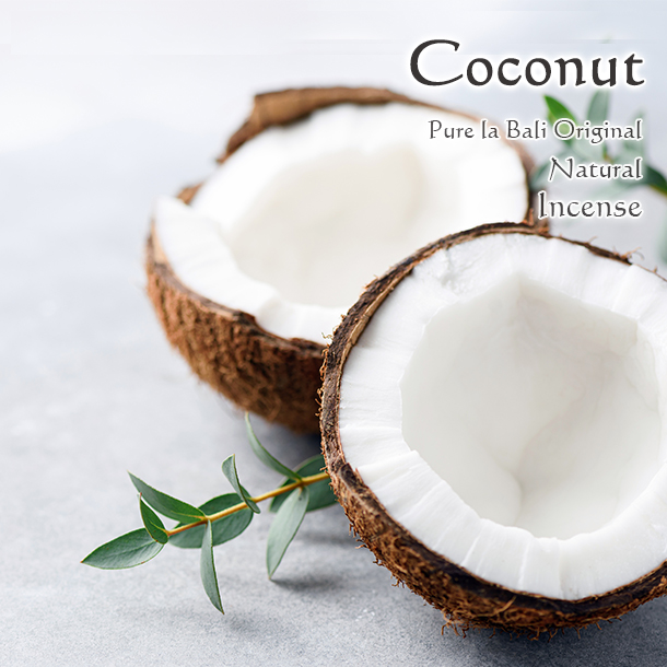 ココナッツのお香！バリ島のおすすめインセンス